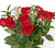 12 Fresh Red Roses (Flowers)