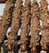 Heath Bar-Gourmet Chocolate Covered Pretzels