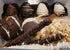 Small MILK and WHITE Chocolate Sample Box.