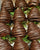 Gourmet Dark Chocolate Covered Strawberries